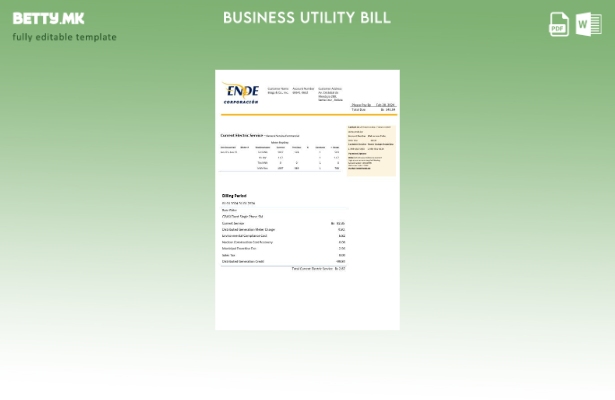 Модерен стил Боливија ENDE Corporacion шаблон за комунални сметки за електрична 